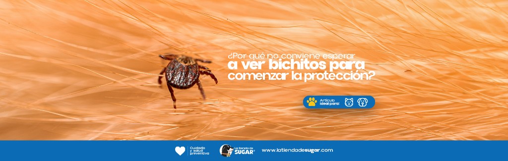 ¿Por qué no conviene esperar a ver bichitos para comenzar la protección?
