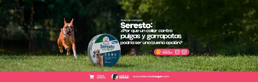 Seresto: ¿por qué un collar contra pulgas y garrapatas podría ser una buena opción?