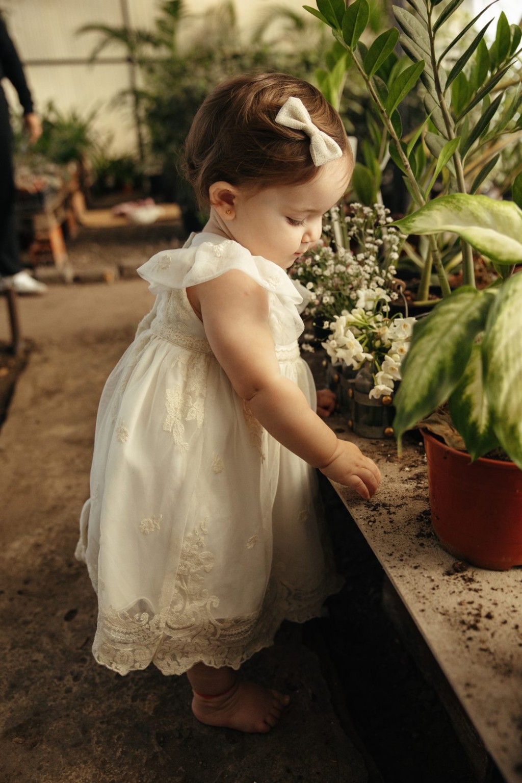Vestido Dafne