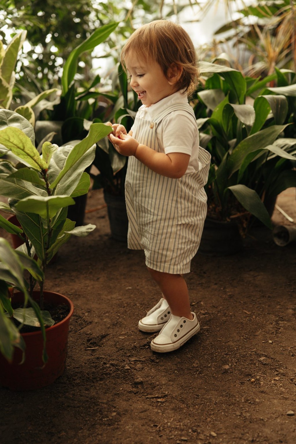Jardinero Cabo
