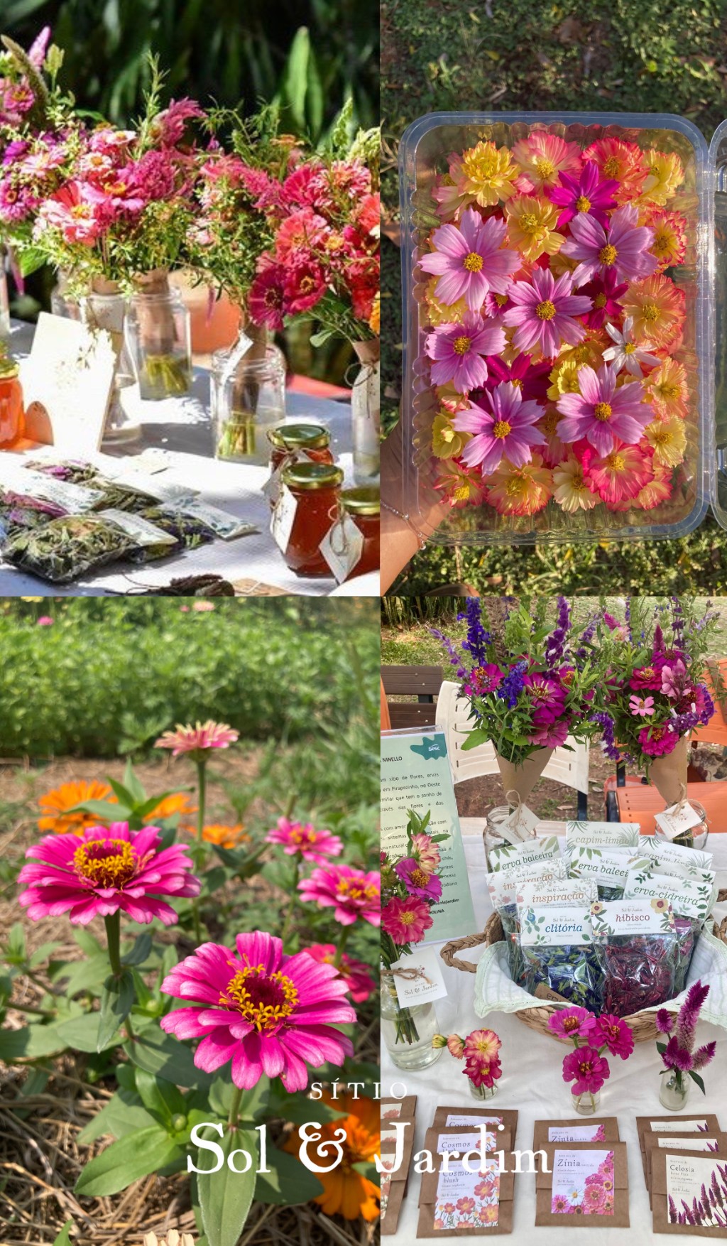 Sítio Sol & Jardim - Flores, Ervas e Sementes