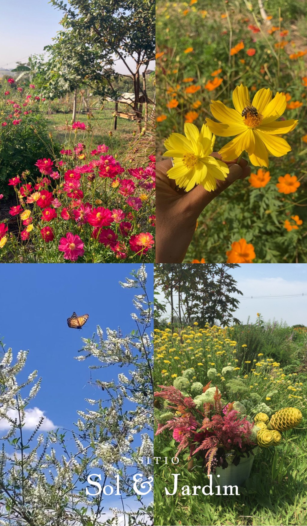 Sítio Sol & Jardim