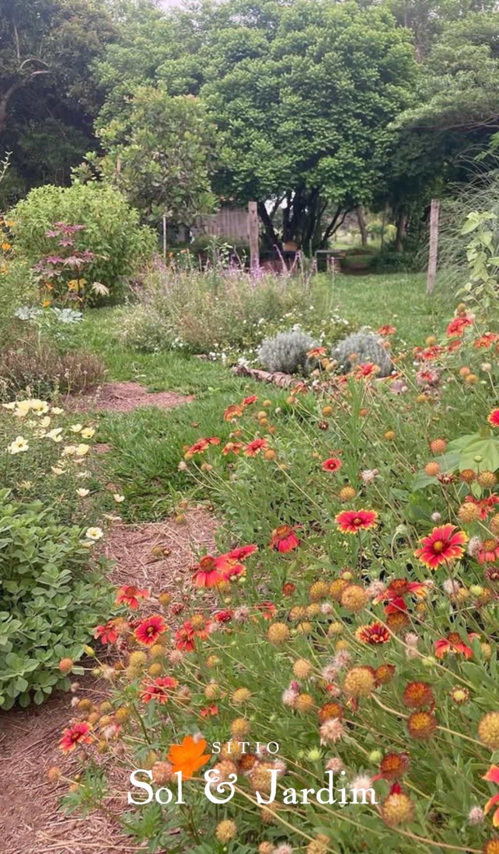 Sítio Sol e Jardim
