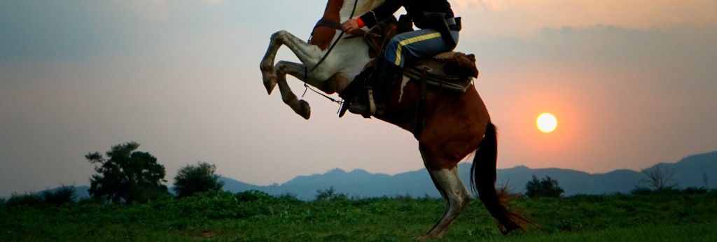 jinete argentino cabalgando al atardecer en la pampa