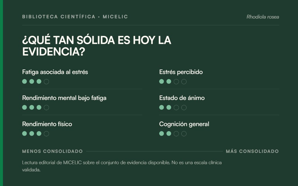 Mapa editorial del nivel de evidencia científica disponible sobre distintos efectos de Rhodiola rosea