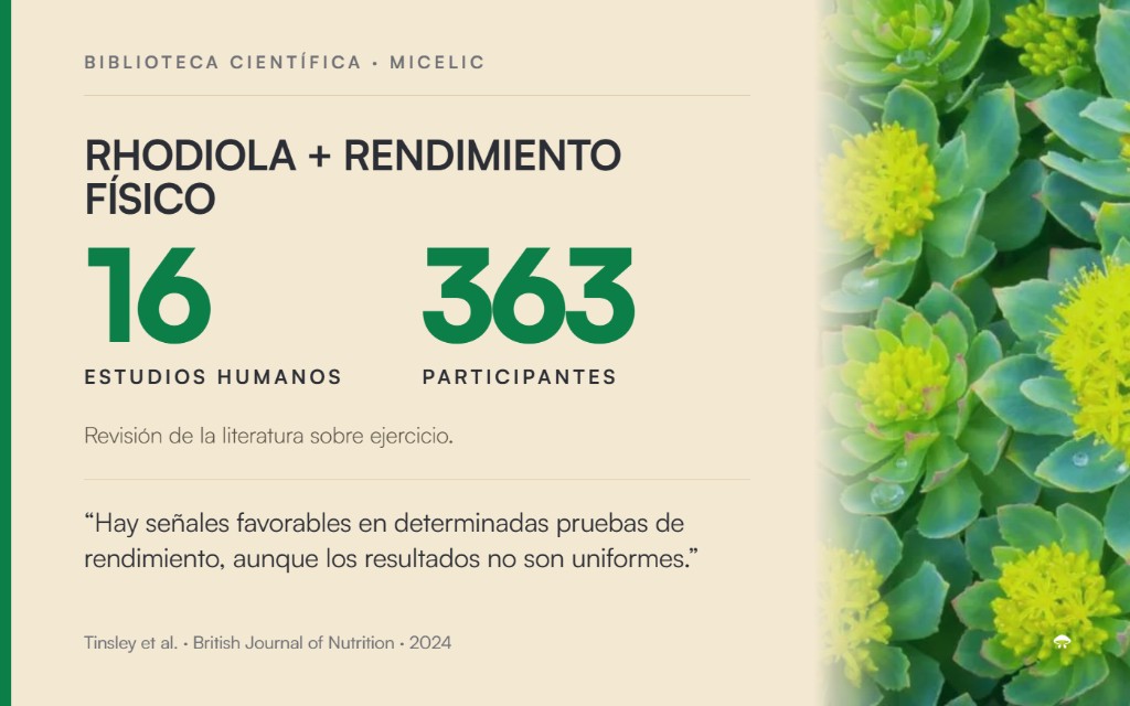 Revisión de 16 estudios humanos con 363 participantes sobre Rhodiola rosea y rendimiento físico
