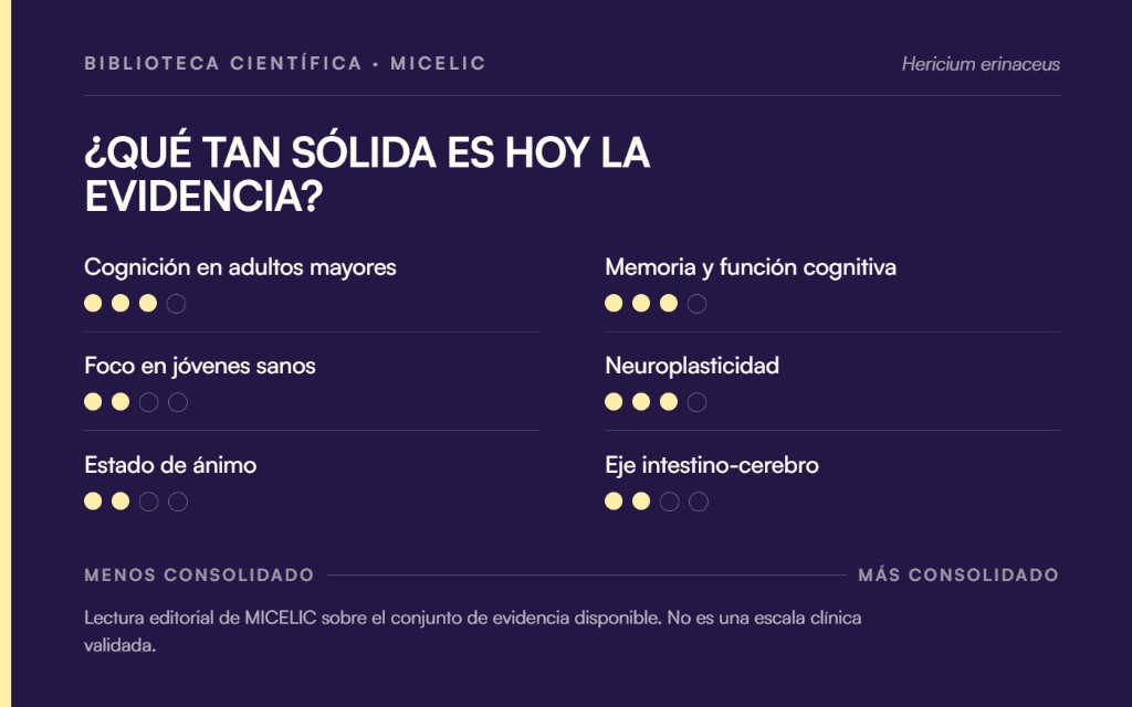 Solidez de la evidencia científica sobre los posibles beneficios de la Melena de León
