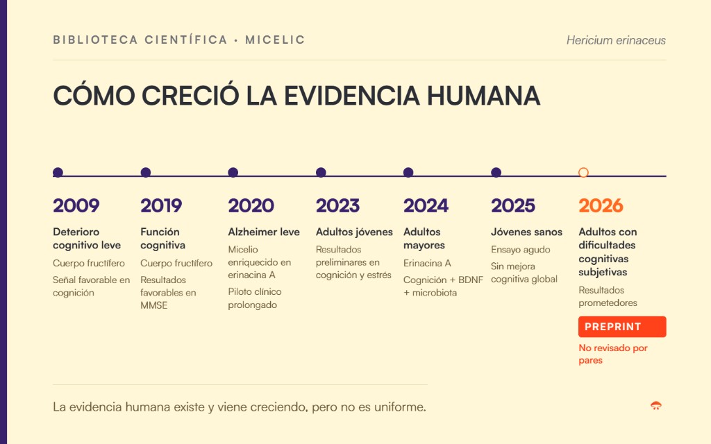 Melena de León: lo que sabemos y lo que todavía no sabemos según la evidencia científica