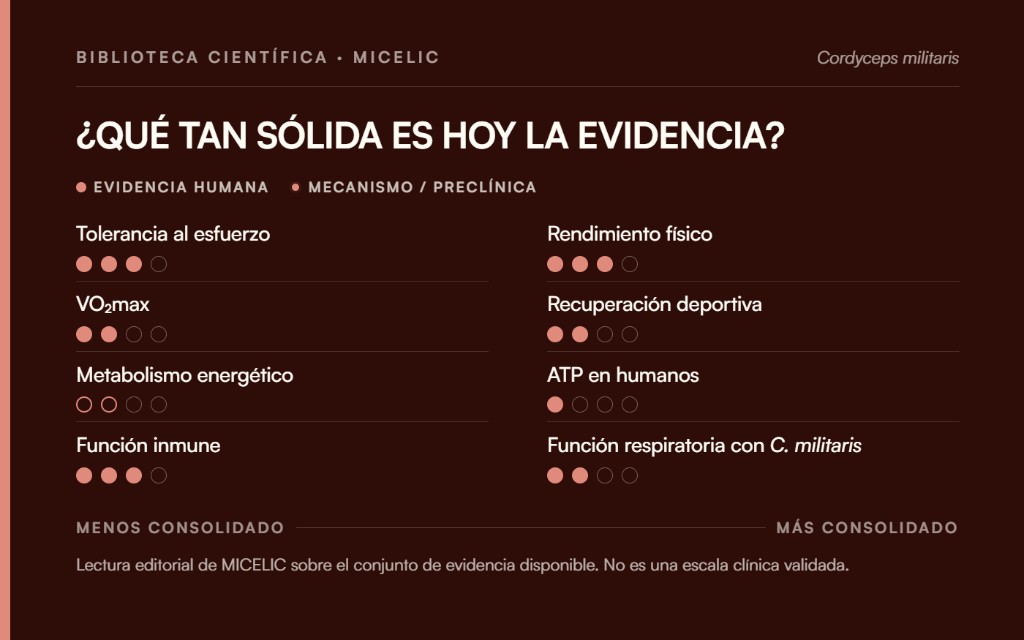 Mapa de evidencia científica sobre Cordyceps