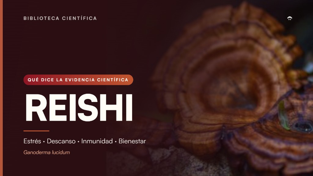 Reishi (Ganoderma lucidum) y evidencia científica sobre estrés, descanso, inmunidad y bienestar