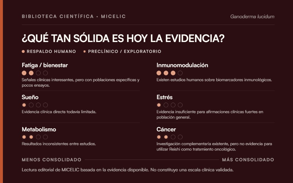 Mapa de la evidencia científica del Reishi sobre fatiga, inmunidad, sueño, estrés, metabolismo y cáncer