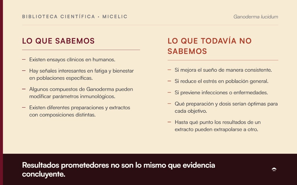 Reishi: lo que sabemos y lo que todavía no sabemos según la evidencia científica disponible