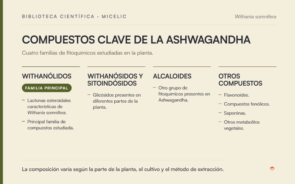 Compuestos clave de la Ashwagandha: withanólidos, withanósidos y sitoindósidos, alcaloides y otros compuestos