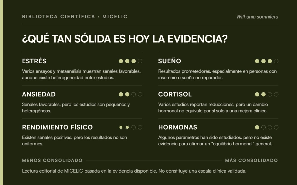 Mapa de la evidencia científica de Ashwagandha sobre estrés, sueño, ansiedad, cortisol, rendimiento físico y hormonas