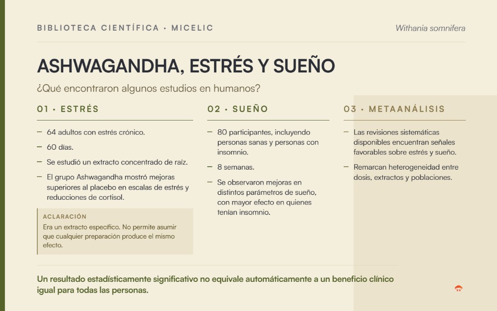 Resumen de estudios en humanos sobre Ashwagandha: estrés (64 adultos, 60 días), sueño (80 participantes, 8 semanas) y metaanálisis