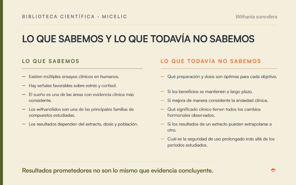 Ashwagandha: lo que sabemos y lo que todavía no sabemos según la evidencia científica disponible