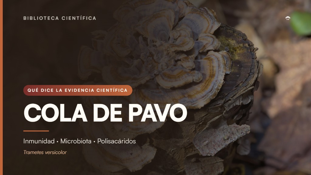 Cola de Pavo (Trametes versicolor) y evidencia cient&iacute;fica sobre inmunidad, microbiota y polisac&aacute;ridos