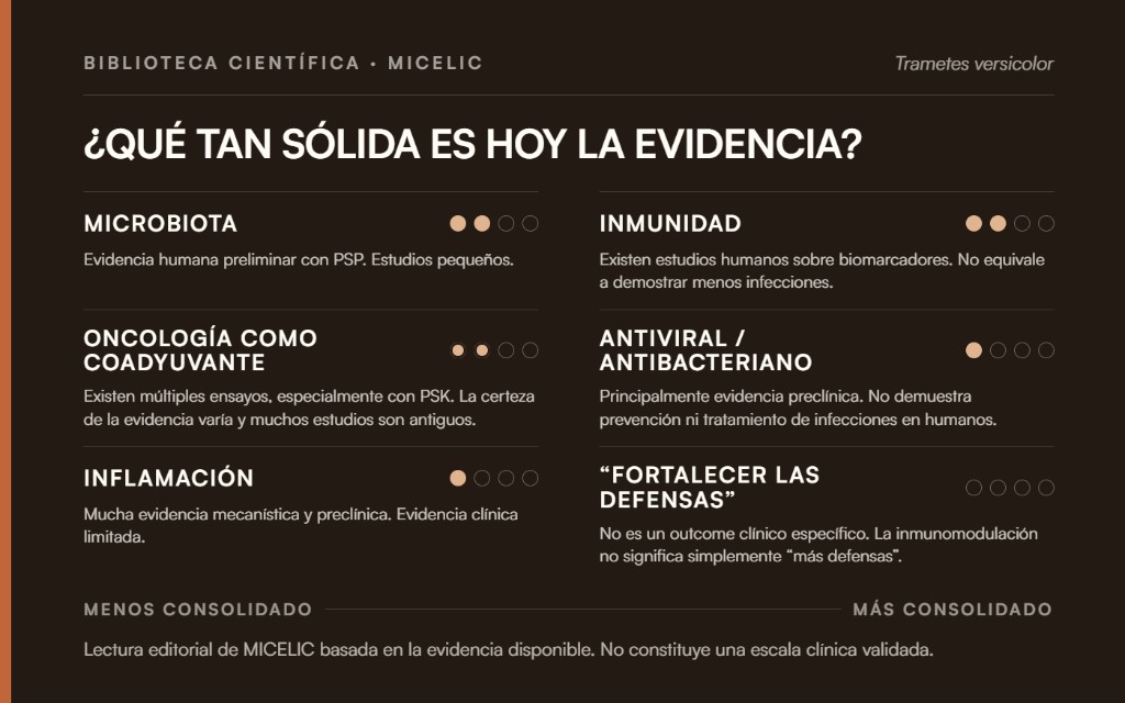 Mapa de la evidencia cient&iacute;fica de Cola de Pavo sobre microbiota, inmunidad, oncolog&iacute;a, inflamaci&oacute;n y actividad antimicrobiana