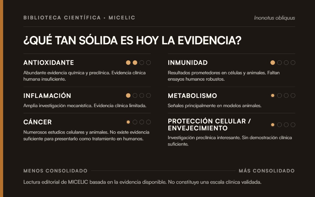 Mapa de la evidencia cient&iacute;fica del Chaga: abundante evidencia qu&iacute;mica y precl&iacute;nica, evidencia cl&iacute;nica humana insuficiente