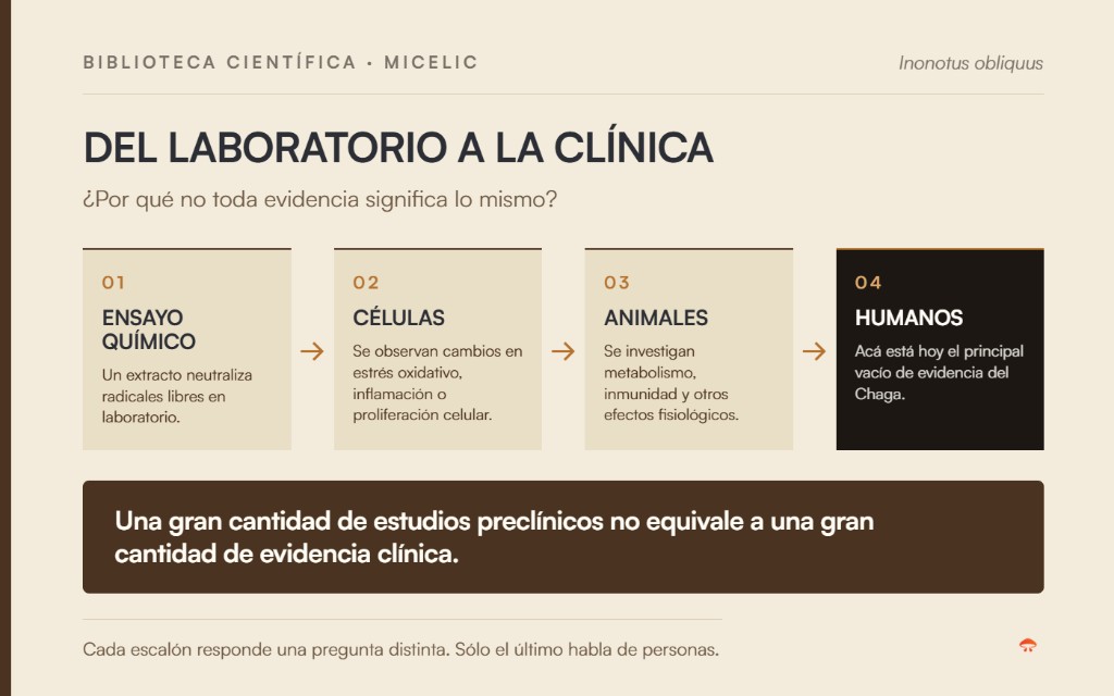 Del laboratorio a la cl&iacute;nica: ensayo qu&iacute;mico, c&eacute;lulas, animales y humanos, donde est&aacute; hoy el principal vac&iacute;o de evidencia del Chaga