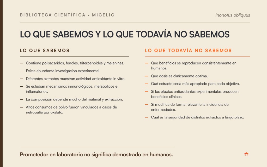 Chaga: lo que sabemos y lo que todav&iacute;a no sabemos seg&uacute;n la evidencia cient&iacute;fica disponible