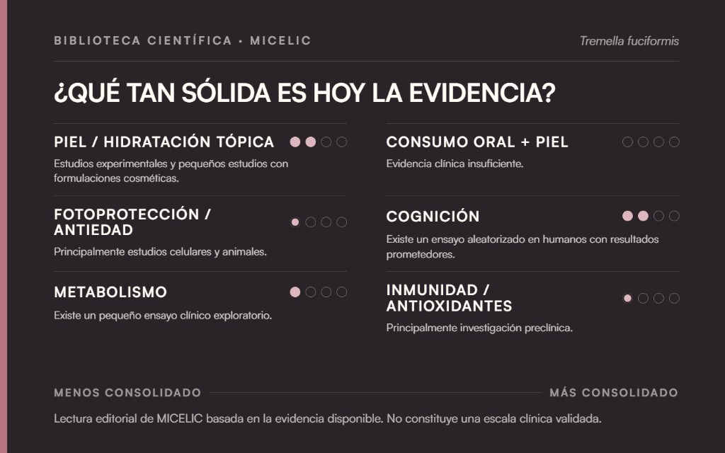 Mapa de la evidencia científica de Tremella sobre piel e hidratación tópica, fotoprotección, cognición, metabolismo e inmunidad