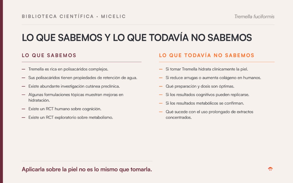 Tremella: lo que sabemos y lo que todavía no sabemos según la evidencia científica disponible