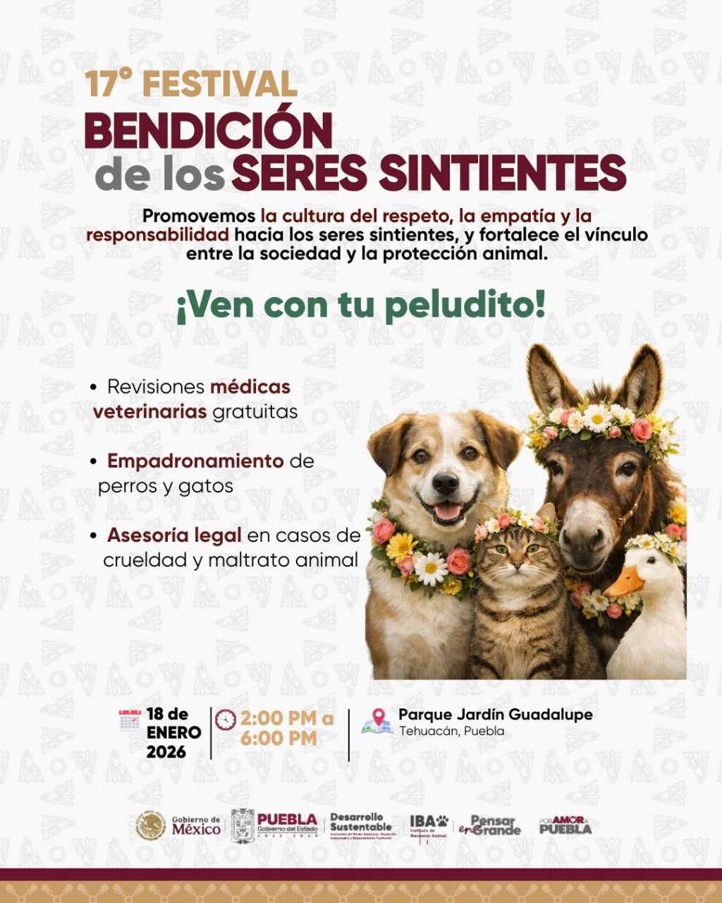 Imagen informativa del 17° Festival Bendición de los Seres Sintientes en Tehuacán, Puebla