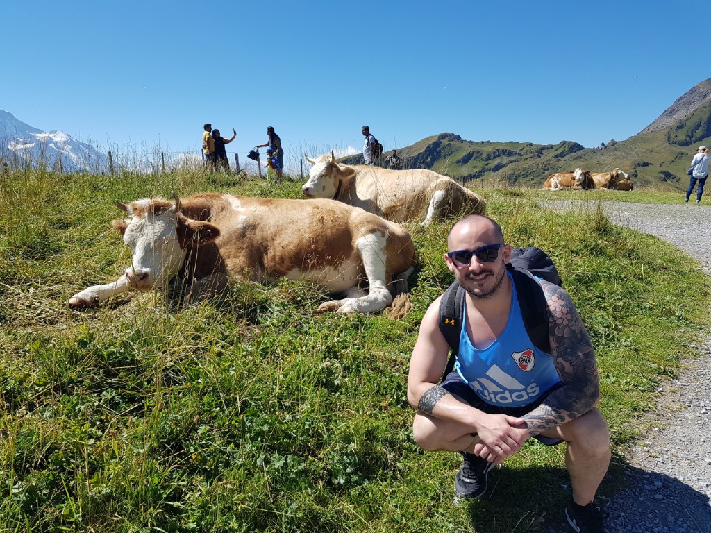 vacas en Grindelwald