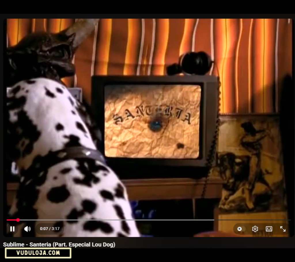 Foto da tela de um computador mostrando o v&iacute;deo pausado do videoclipe Santeria da banda Sublime, com destaque para o cachorro no canto central da imagem