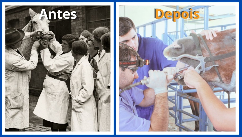 Uma imagem que compara a medicina equina de antes com a atual.