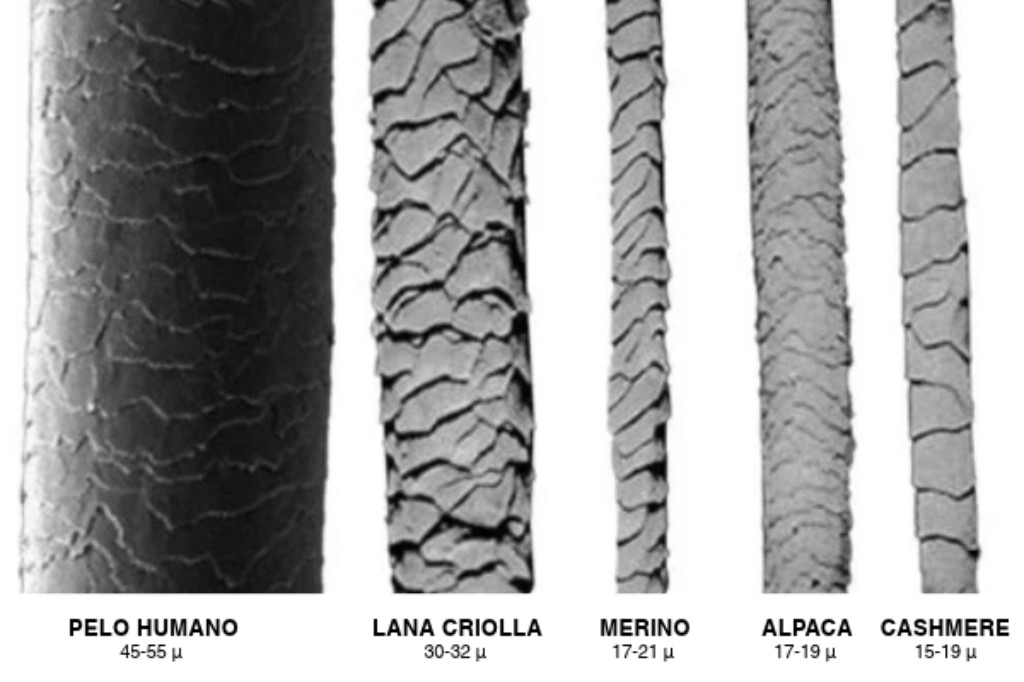 Imagen microsc&oacute;pica comparativa de distintas fibras textiles