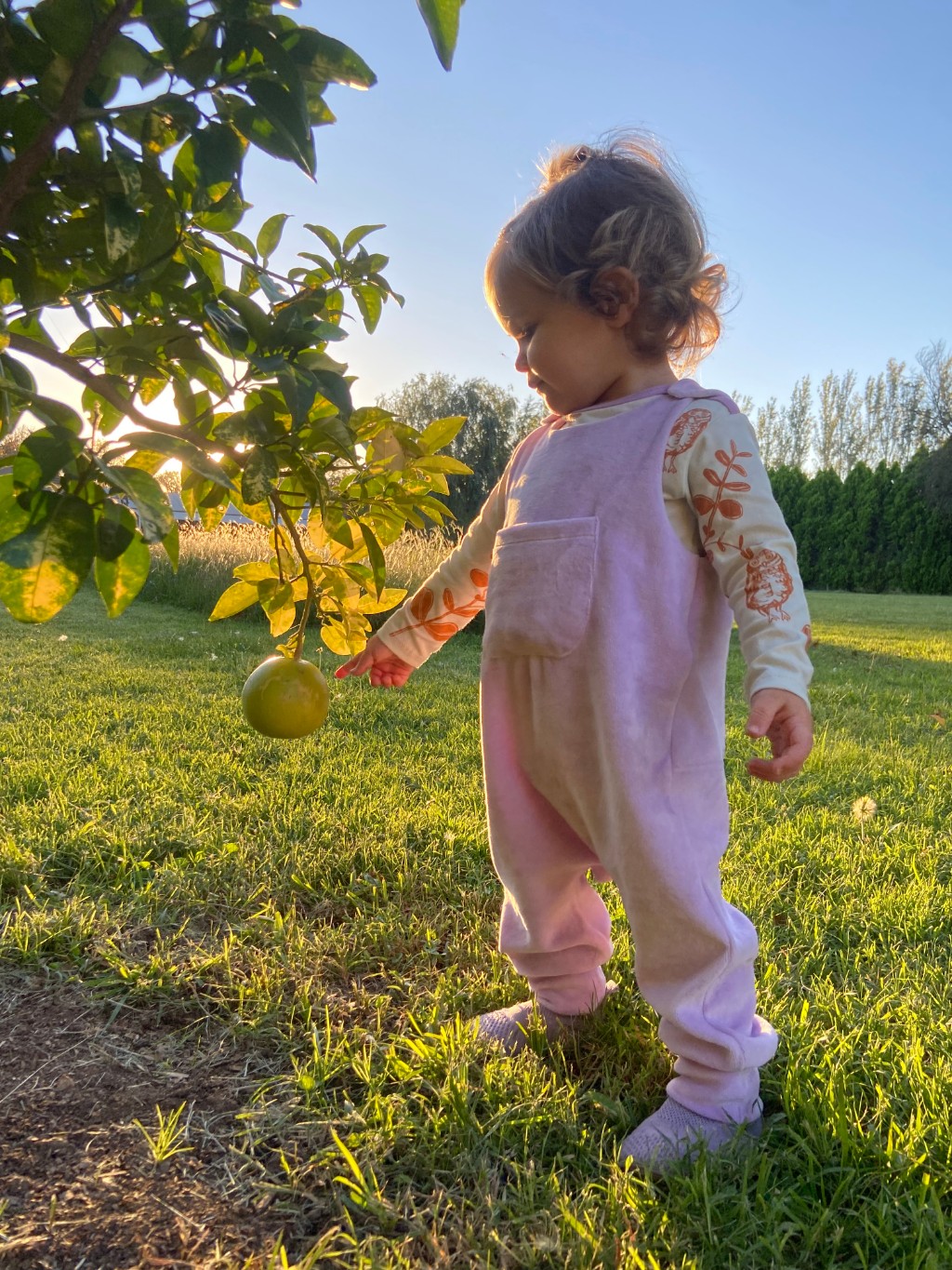 Jardinero para bebé