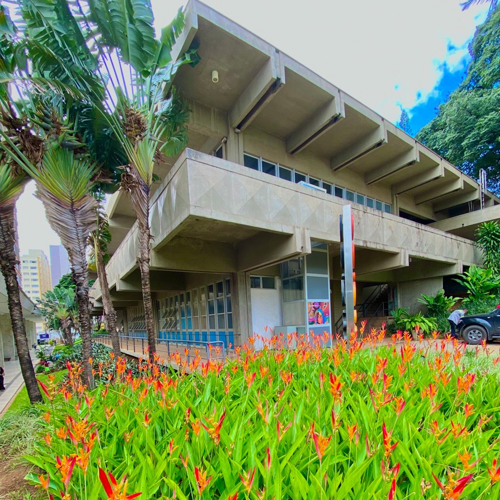 ROGERIO PEDRO MACC CAMPINAS