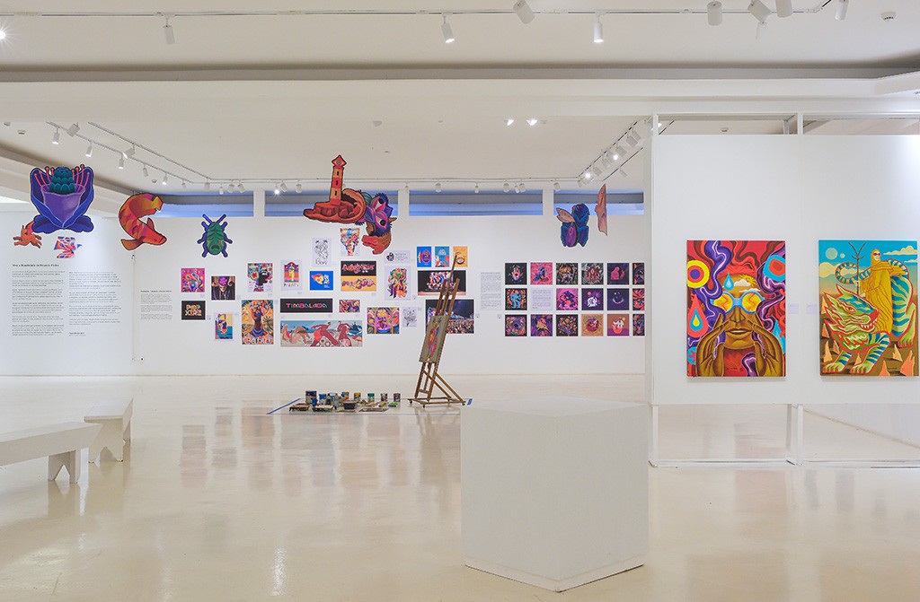 rogerio pedro pulso 12