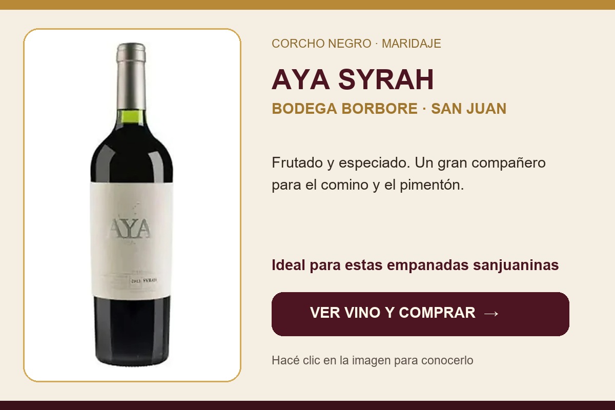 Aya Syrah Bodega Borbore 750 ml
