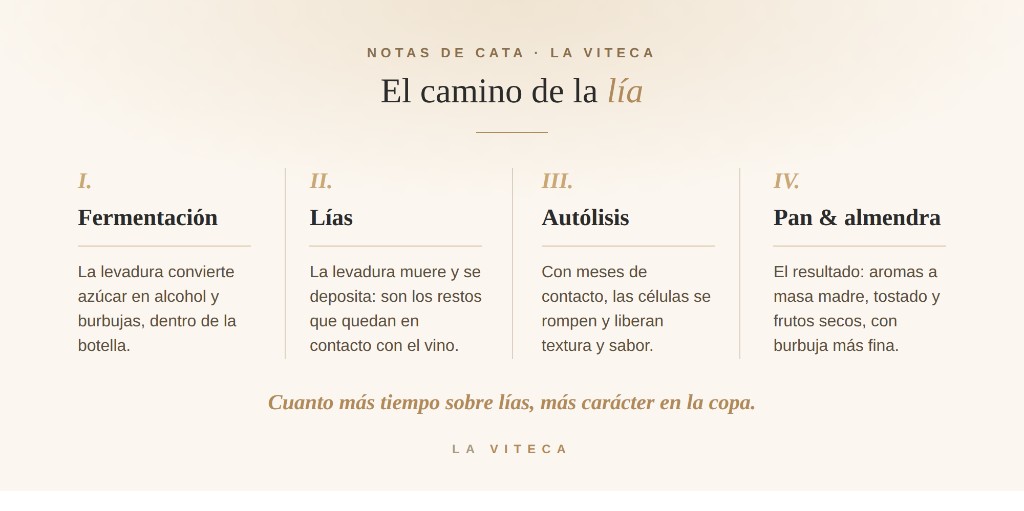 El camino de la l&iacute;a: fermentaci&oacute;n, l&iacute;as, aut&oacute;lisis, pan y almendra &mdash; La Viteca