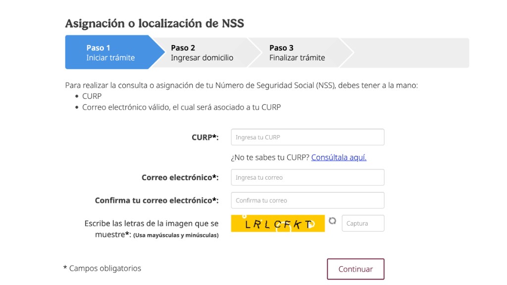 C&oacute;mo consultar o sacar tu NSS