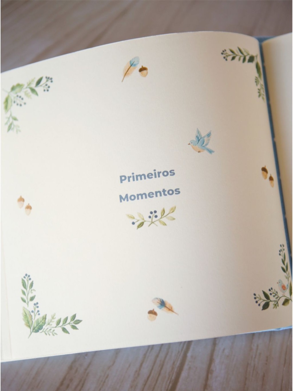 Livro do bebê personalizado mostrando páginas para fotos, primeiras vezes e aniversários