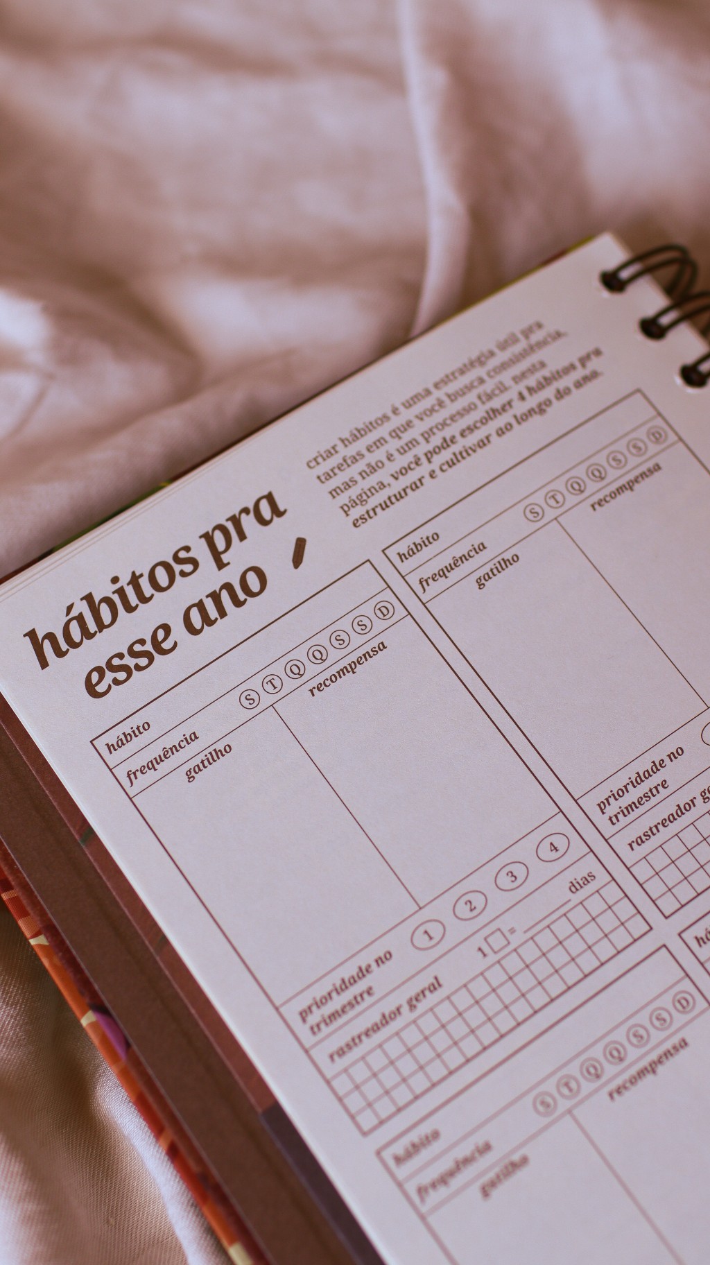 h&aacute;bitos planner 1