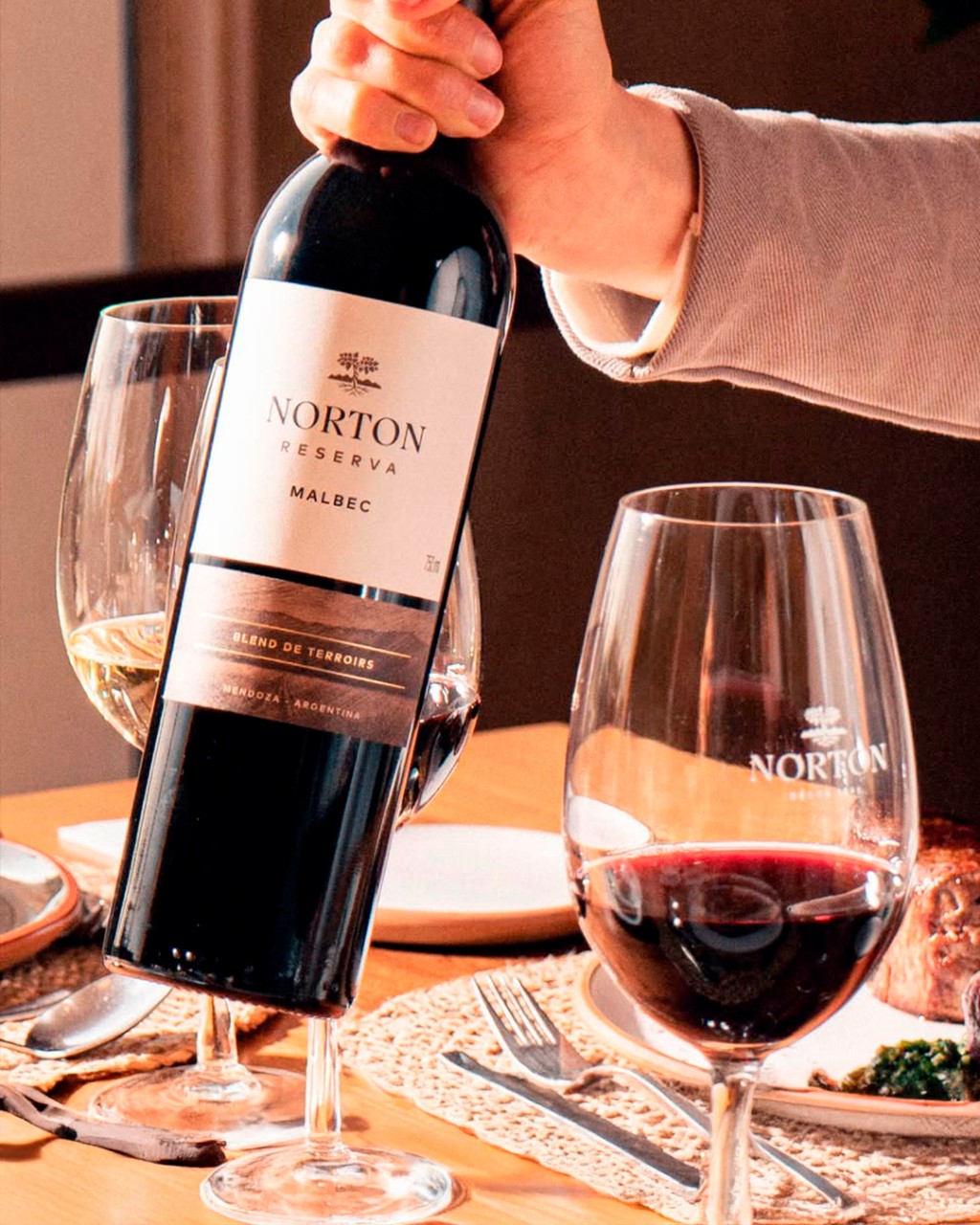 Vinhedos em Mendoza, Argentina, associados ao estilo de vinho Malbec tradicional