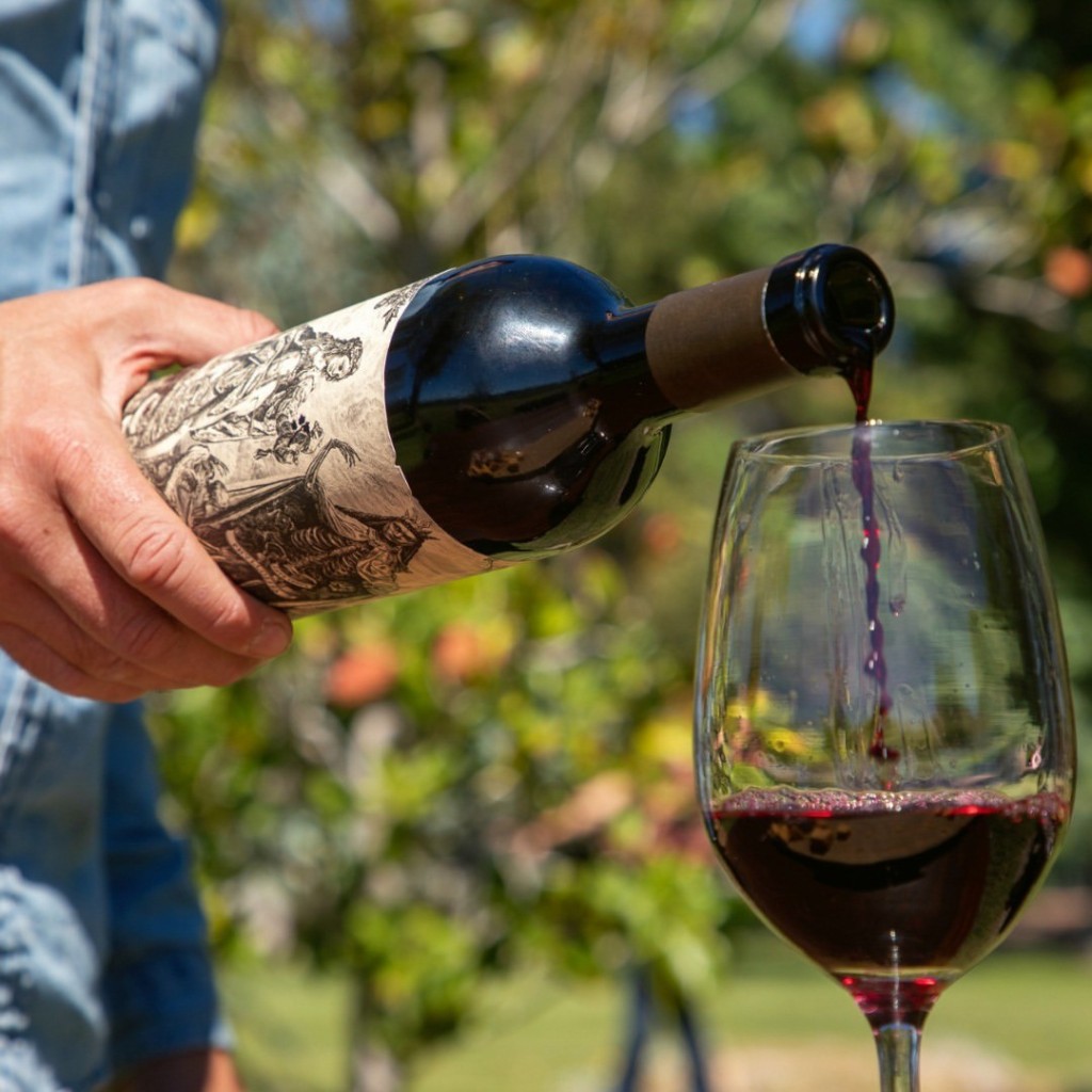 Rótulos da Catena Zapata em destaque para comparar estilos e faixas de preço