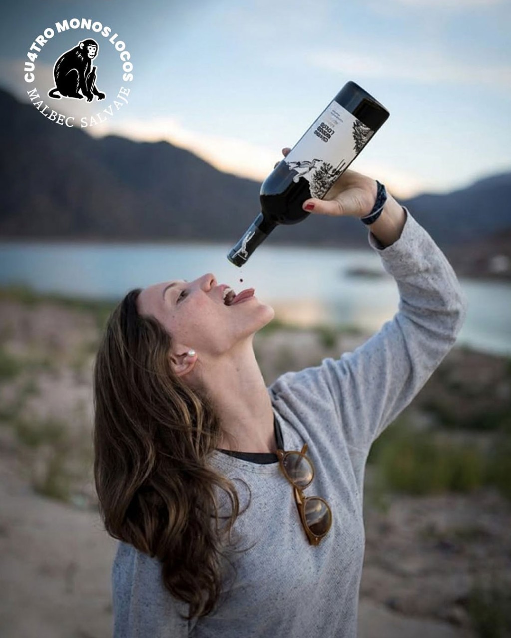 Cuatro Monos Locos Malbec em composição vertical para review do vinho argentino
