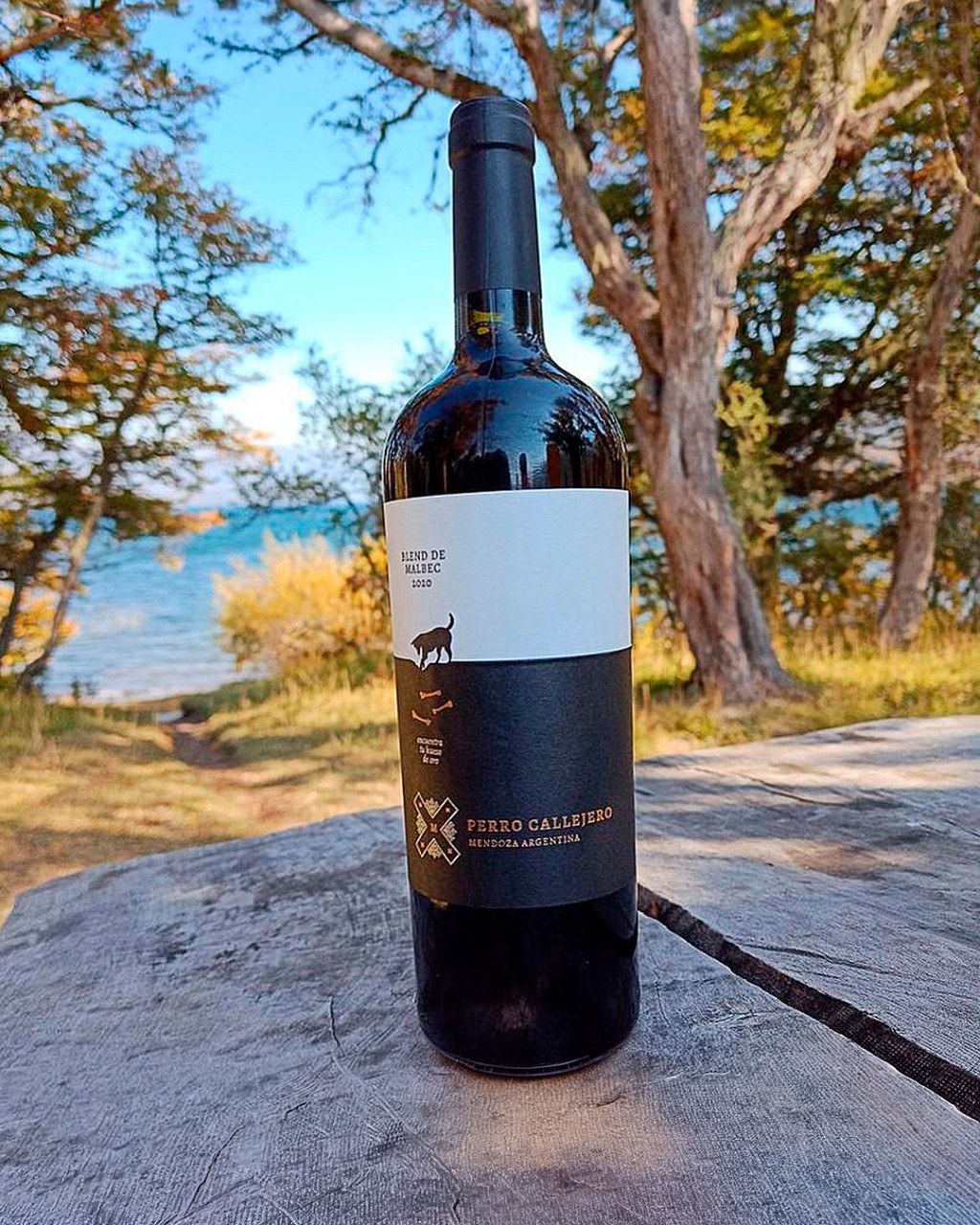 Perro Callejero Malbec da Mosquita Muerta em composição para review do vinho argentino