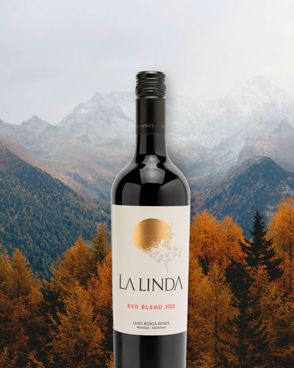 La Linda Red Blend em composição para review do vinho argentino da Luigi Bosca