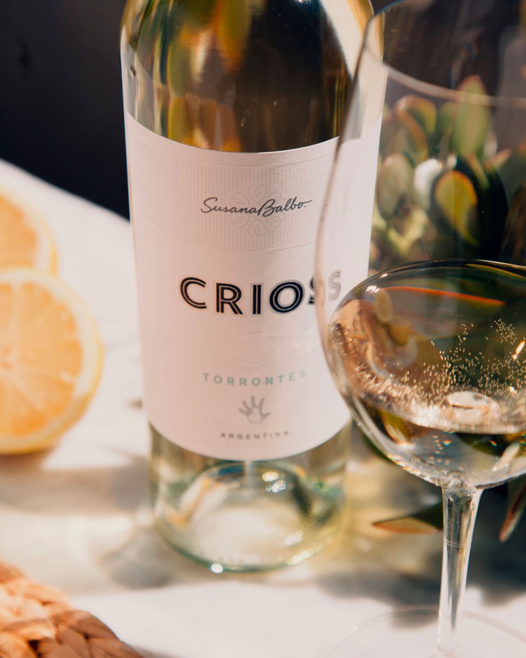 Crios Torrontés Susana Balbo em cena elegante para review do vinho branco argentino