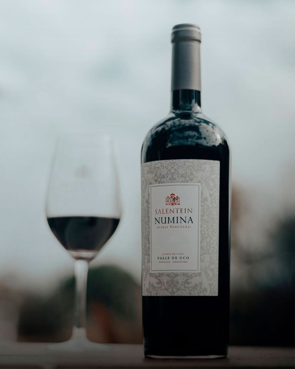 Salentein Numina Malbec em cena elegante para review do vinho argentino premium do Vale do Uco