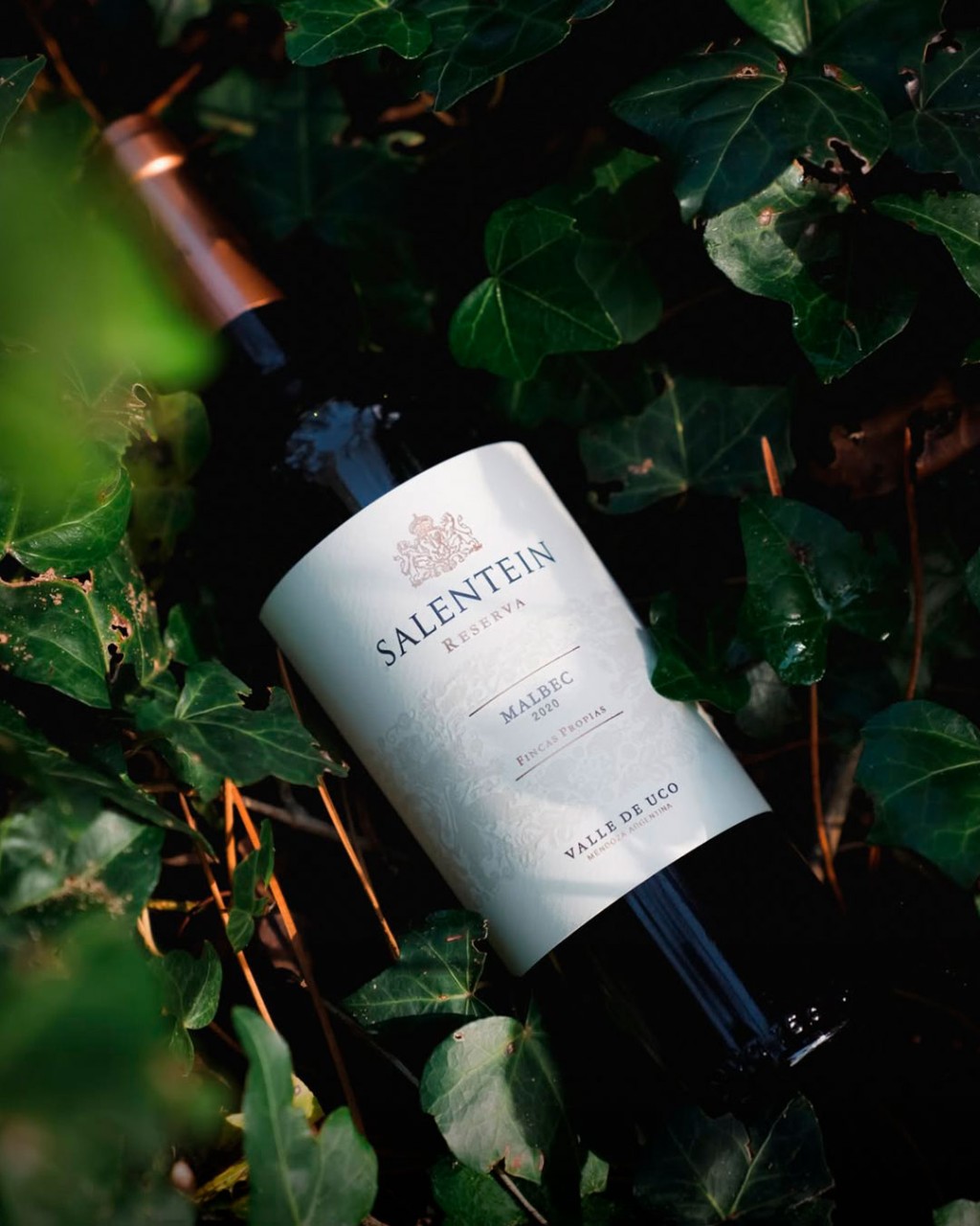 Salentein Reserva Malbec em cena elegante para review do vinho argentino do Vale do Uco