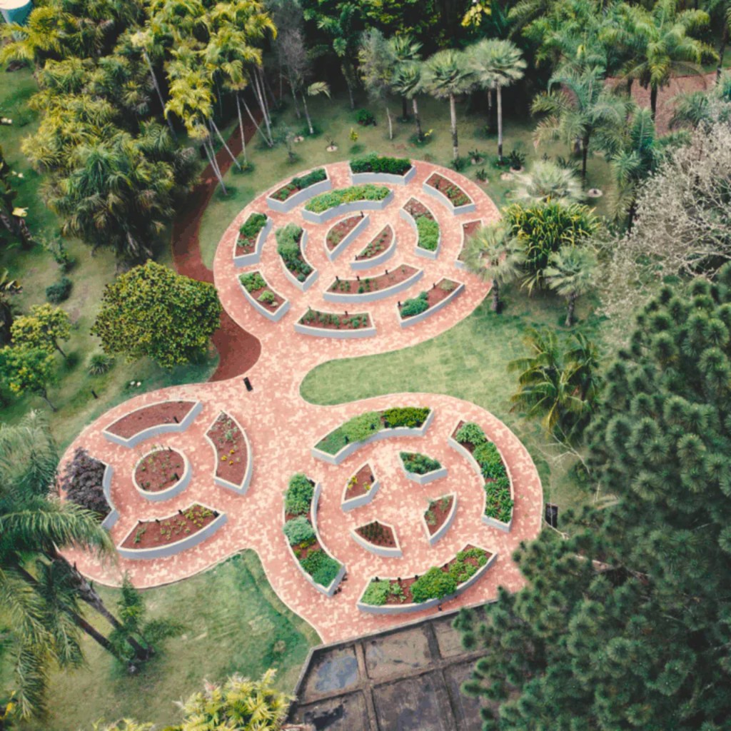 Os jardins bot&acirc;nicos do Instituto Inhotim foram planejados para criar uma experi&ecirc;ncia sensorial em di&aacute;logo constante com as galerias e obras de arte contempor&acirc;nea espalhadas pela paisagem. Inspirado na valoriza&ccedil;&atilde;o das esp&eacute;cies tropicais presente no trabalho de Roberto Burle Marx, o paisagismo tornou-se um dos elementos centrais da identidade visual do museu.