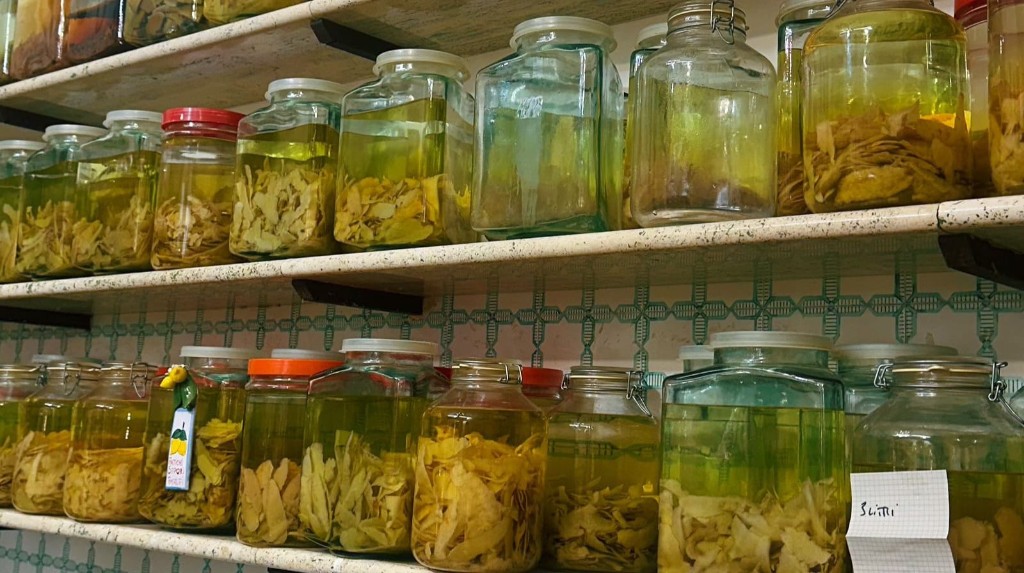 Cascas de lim&atilde;o siciliano em infus&atilde;o para produ&ccedil;&atilde;o artesanal de limoncello